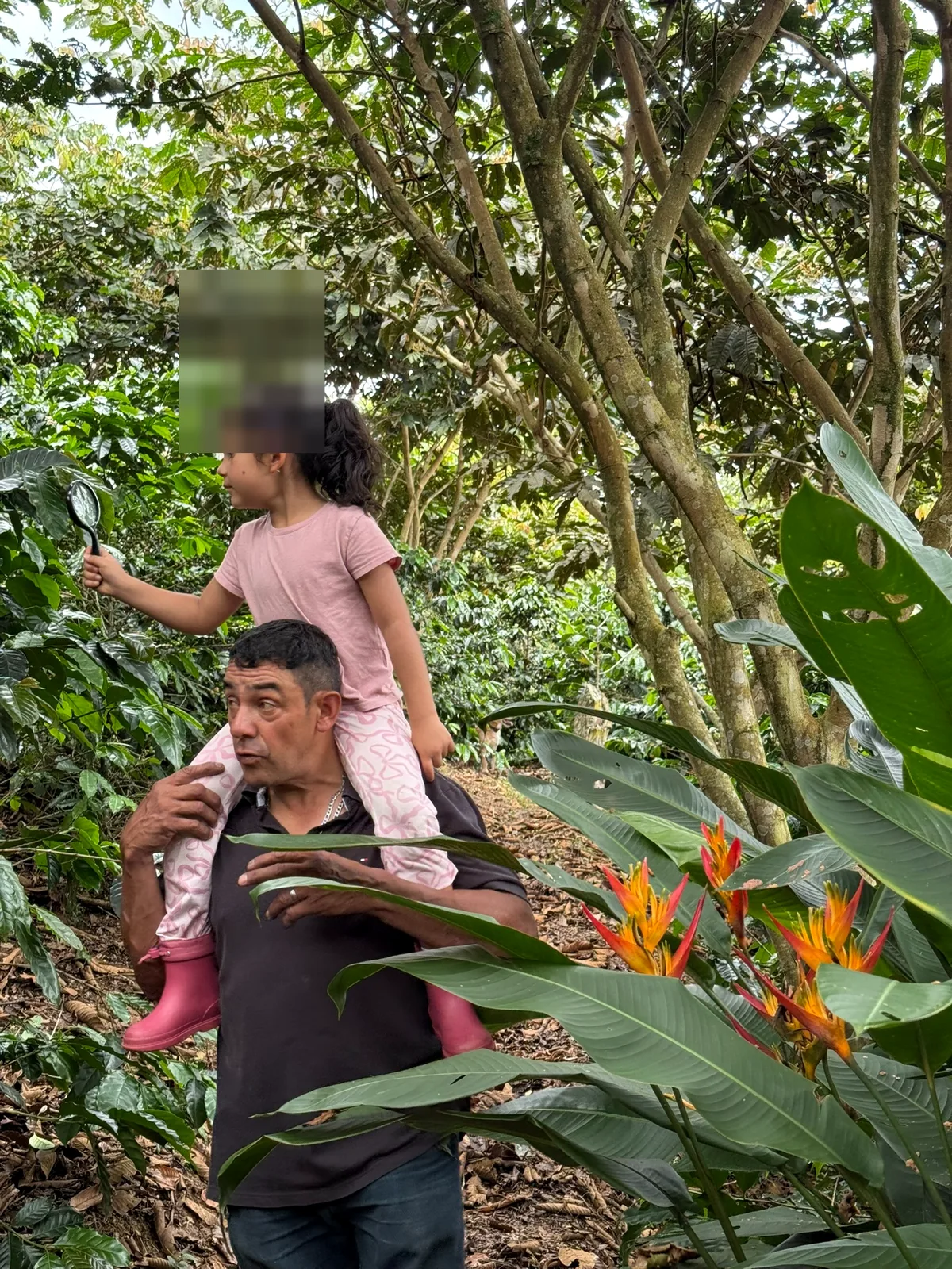 Coffee farm experience at Finca Casa Blanca in Puente Nacional Santander near Villa de Leyva